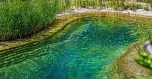 Natural Swimming Ponds