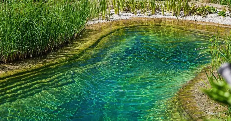 Natural Swimming Ponds
